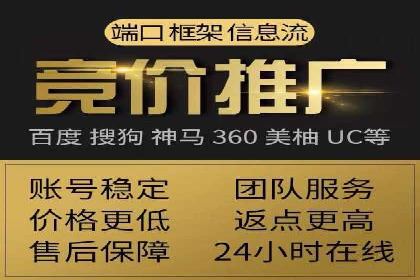 深入剖析SEM公司成功案例：数据驱动的广告策略